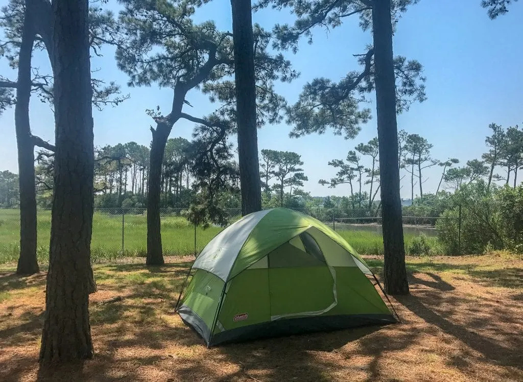 Our tent site at Tom's Cove Campground in Chincoteague