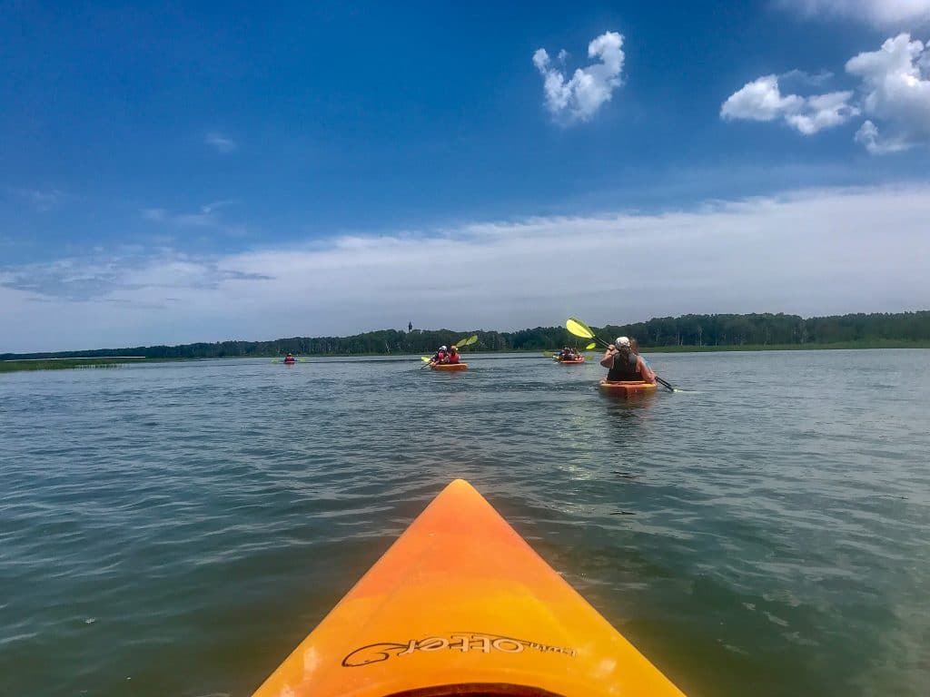 Kayaking is one of the most adventurous things to do in Chincoteague.