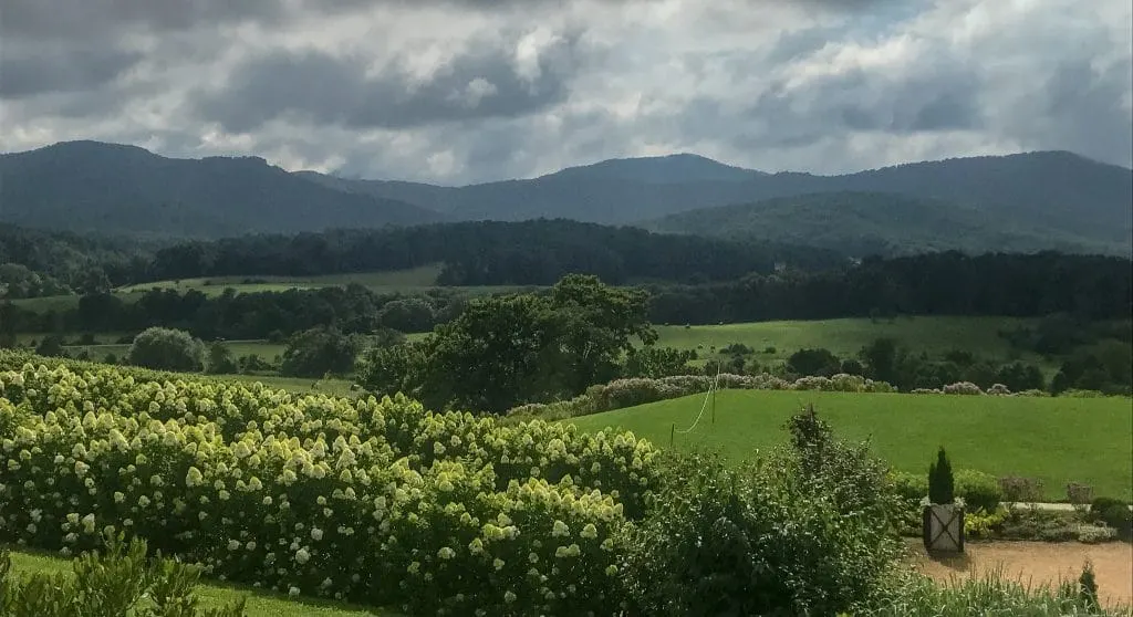 Stunning views at Pippin Hill Farm along the Monticello Wine Trail 