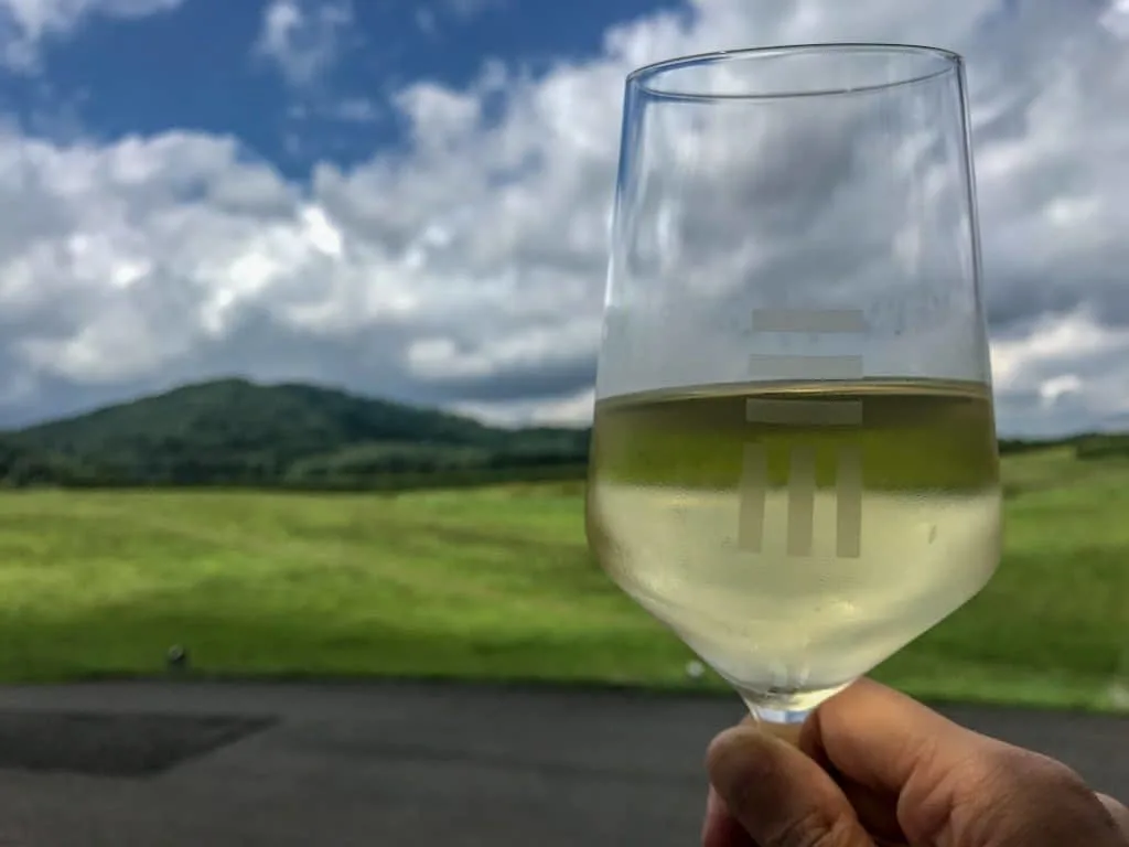 Enjoying Early Mountain Vineyard on the Monticello Wine Trail
