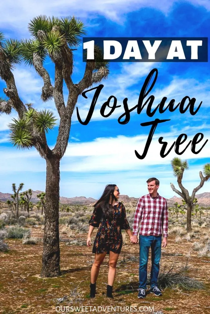 A couple holding hands and looking at each other with a huge Joshua Tree towering over them with text overlay "1 Day at Joshua Tree". 