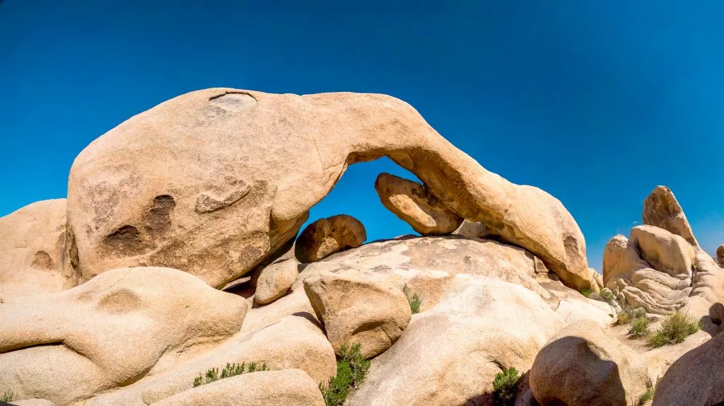 An arch rock shaped like an elephant trunk at Joshua Tree National Park.