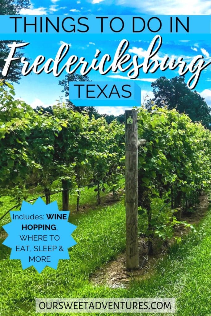 Photo of rows of grape vineyards during a bright blue, sunny day. Text overlay "Things to do in Fredericksburg Texas Includes: Wine Hopping, Where to Eat, Sleep & more"