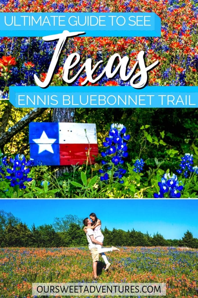 A collage of three photos. Top photo has orange wildflowers and bluebonnets. Middle photo has a wooden Texas flag with bluebonnets. Bottom photo is a man holding a woman in a field of flowers. Text overlay "Ultimate Guide to See Texas Ennis Bluebonnet Trail".