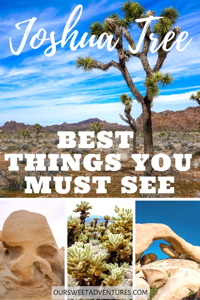 A photo collage of four pictures - Joshua Trees, Skull Rock, Cholla Cactus, and Arch Rock with text overlay 