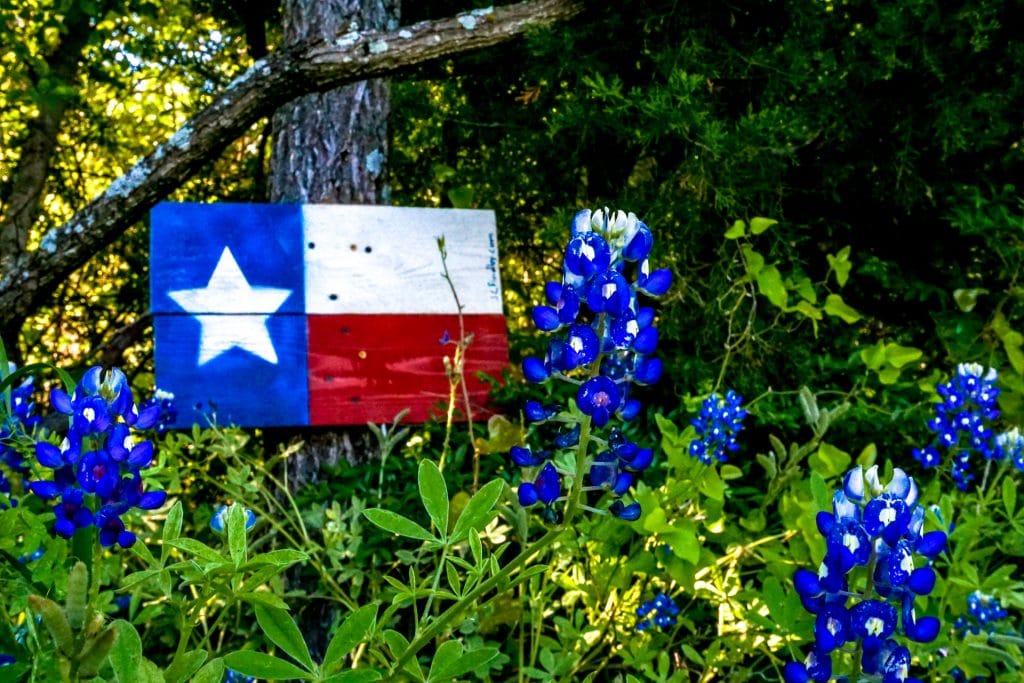 A wooden Texas flag with a close up of Ennis bluebonnets.