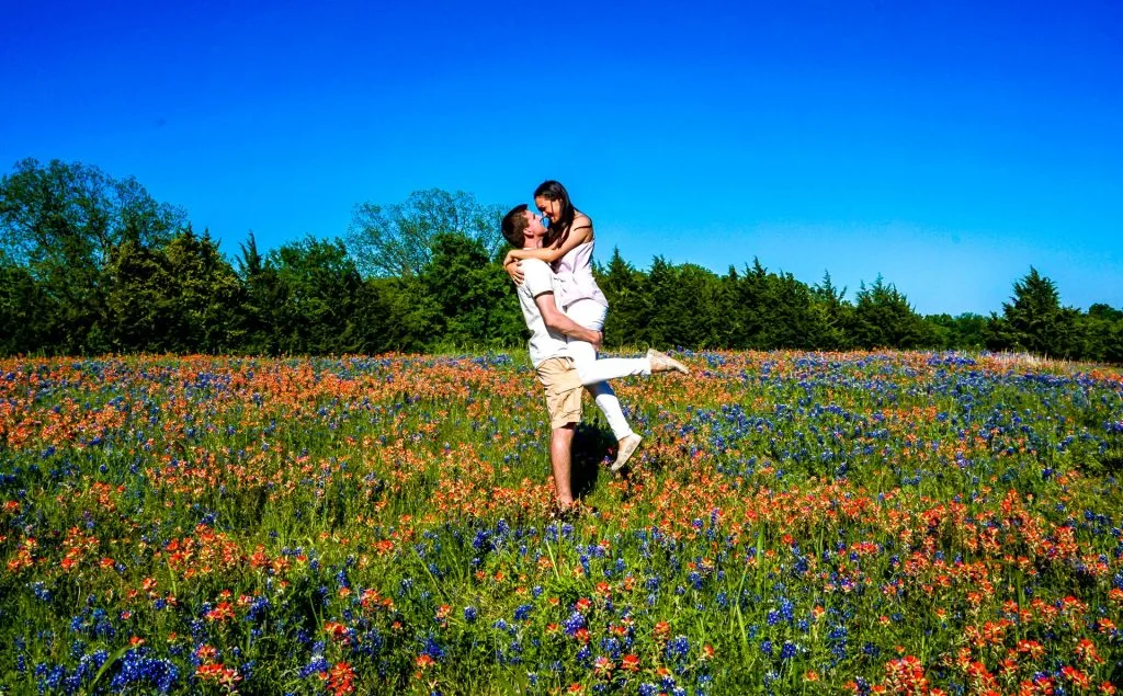A man picking up his wife in the middle of a wildflower and bluebonnet field in Ennis, Texas.