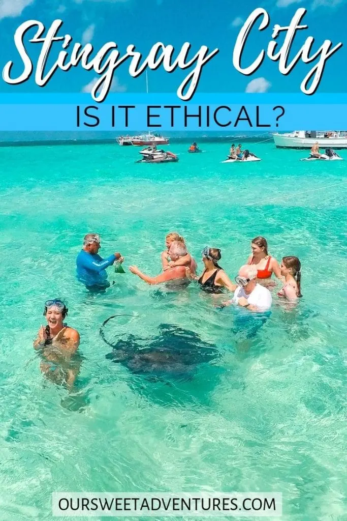 a group of people standing in shallow water with stingrays swimming nearby. There are also more people and boats in the background. With text overlay "Stingray City is it ethical?"