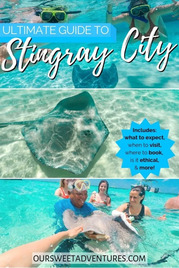 Photo collage. Top photo is two people snorkeling over a stingray. Middle photo is a giant stingray. Bottom photo is a group of people surrounding  a stingray. Text overlay"Ultimate guide to Stingray City - includes: what to expect, when to visit, where to book, is it ethical & more."