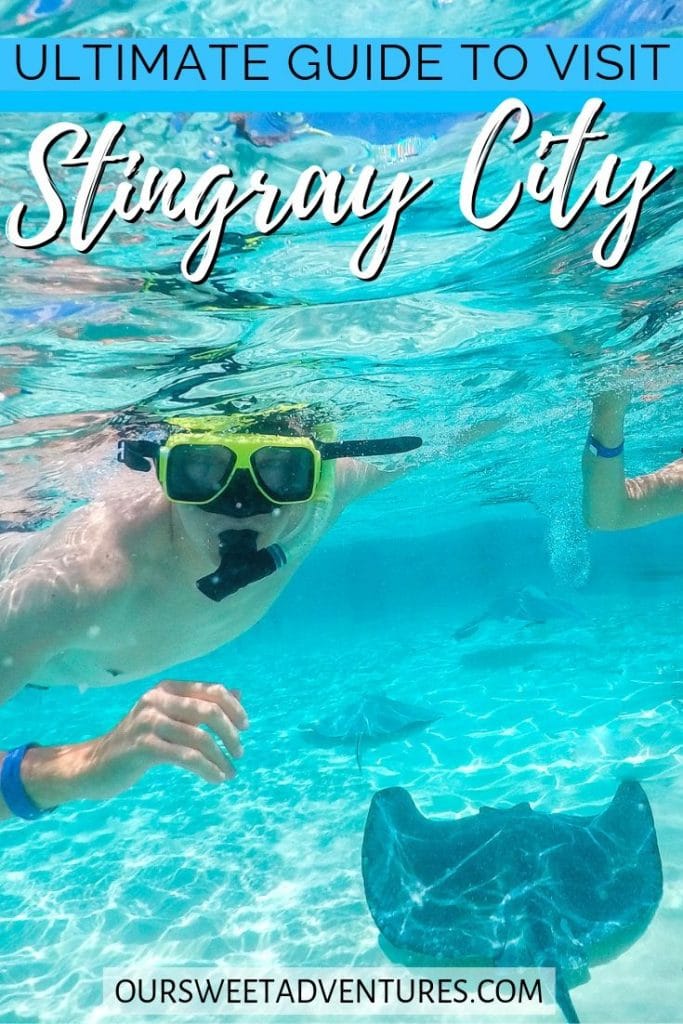 A man snorkeling over stingrays with text overlay "Ultimate Guide to visit Stingray City".