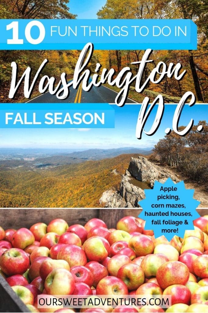 Three photo collage with text overlay "10 Fun Things to do in Washington D.C. Fall Season". The top photo is a road bending a corner. The middle photo is a colorful mountain range. The bottom photo is a bushel of golden-red apples.