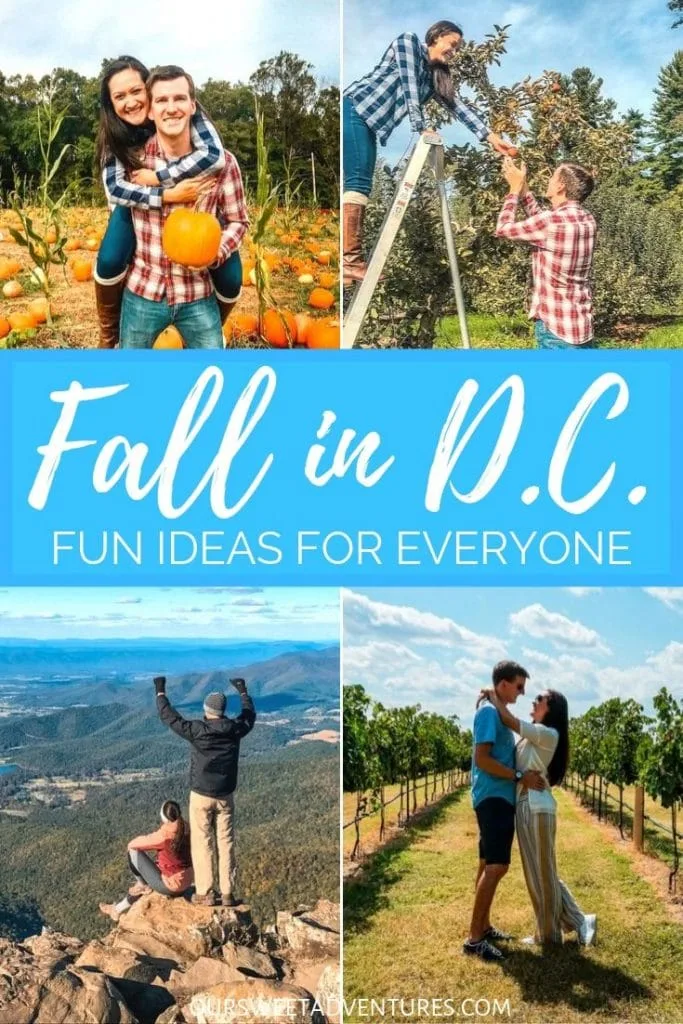 A 4 picture collage of the same couple posing. One is them at a pumpkin patch. Second is them picking apples. The third is standing on the edge of a mountain. The last one is standing in a wine vineyard. Text overlay "Fall in D.C. Fun ideas for everyone." 