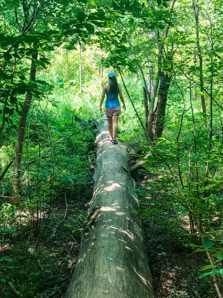 A woman hiking near Washington D.C. on a log in a green forest at Theodore Roosevelt Island. 