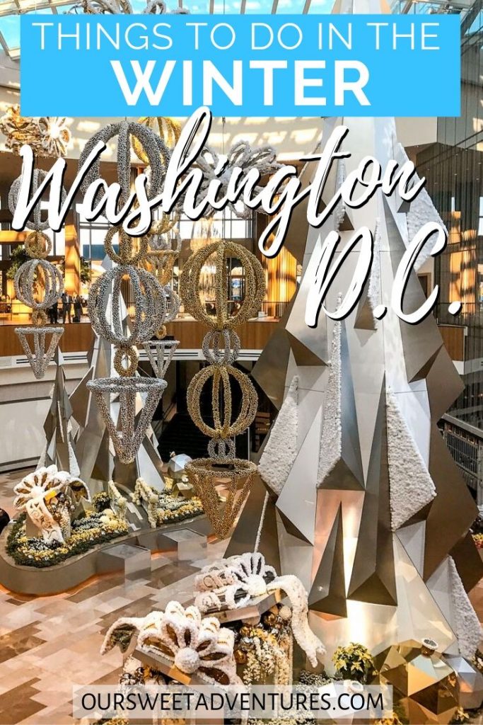 A conservatory filled with silver and gold Christmas trees and ornaments with text overlay "things to do in the winter Washington D.C."