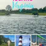Chincoteague Island, Virginia is an oasis for a great East Coast summer getaway. There are so many things to do in Chincoteague to make a perfect weekend trip. You can go on a cruise, enjoy camping, relax at the beach, kayak to find wild ponies and more. #Virginia #Chincoteague #EastCoast #Beach #SummerGetaway