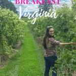We had a fabulous time in Virginia's wine country at the Farmhouse at Veritas. We cannot think of a better place to enjoy a bed and breakfast than at a winery! It is the perfect trip for a girls weekend or a romantic getaway.