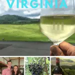 A visit to the best Charlottesville wineries is the perfect romantic getaway for couples. Beautiful views, fabulous wines, delicious cuisine, B&B and more.