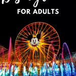 The World of Color is the perfect show at Disneyland for adults. The show mixes color, light, music and theatre into one masterpiece for the audience. You cannot miss it!