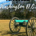 As our nations capitol, there are several historic places to visit. However, there are also several historical day trips from Washington D.C. From battlefields and the estate of George Washington, check out some of the most historical destinations just minutes outside of D.C.