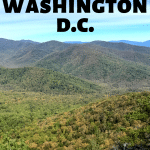 There is so much natural beauty and National Parks surrounding Washington D.C. You can easily visit any within three hours making it a great D.C. day trip. Chasing waterfalls or rock scrambling up mountains - you definitely​ need to escape the city and go outdoors.