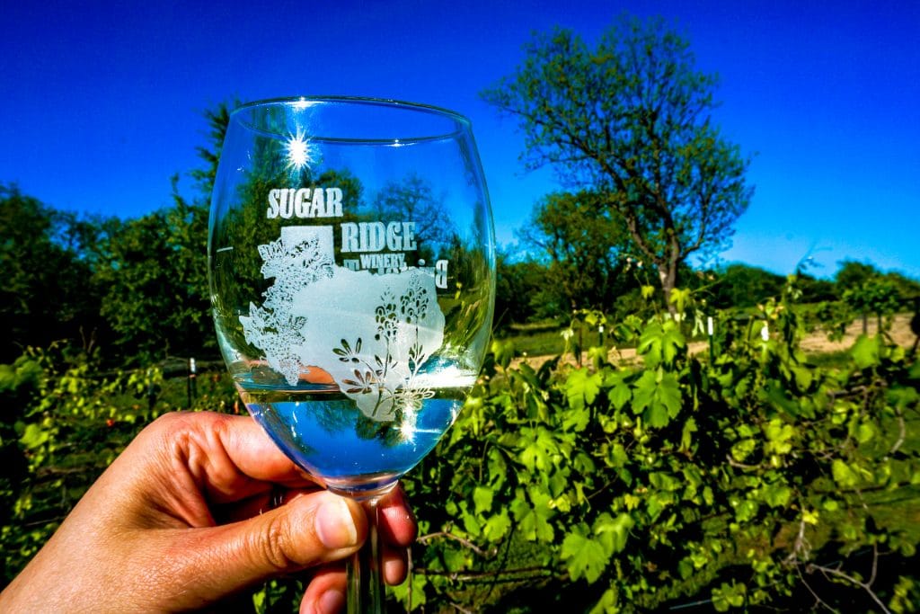 A hand holding a glass with Sugar Ridge Winery etched in with a vineyard in the backdrop.