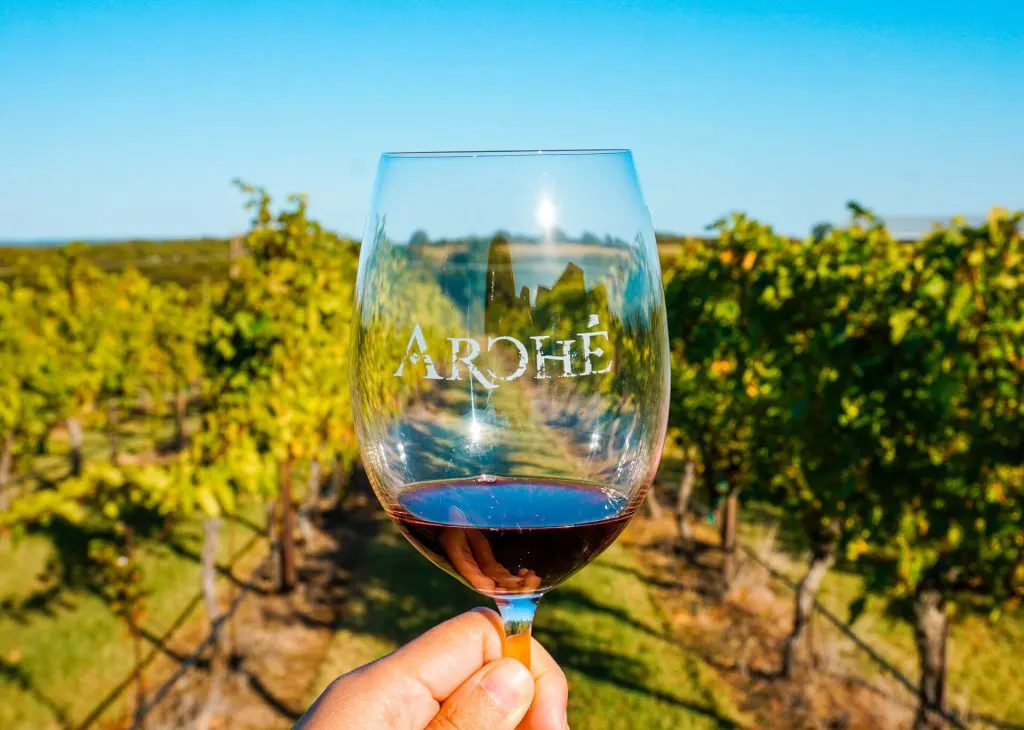 A glass of red wine from Arche between vineyards.