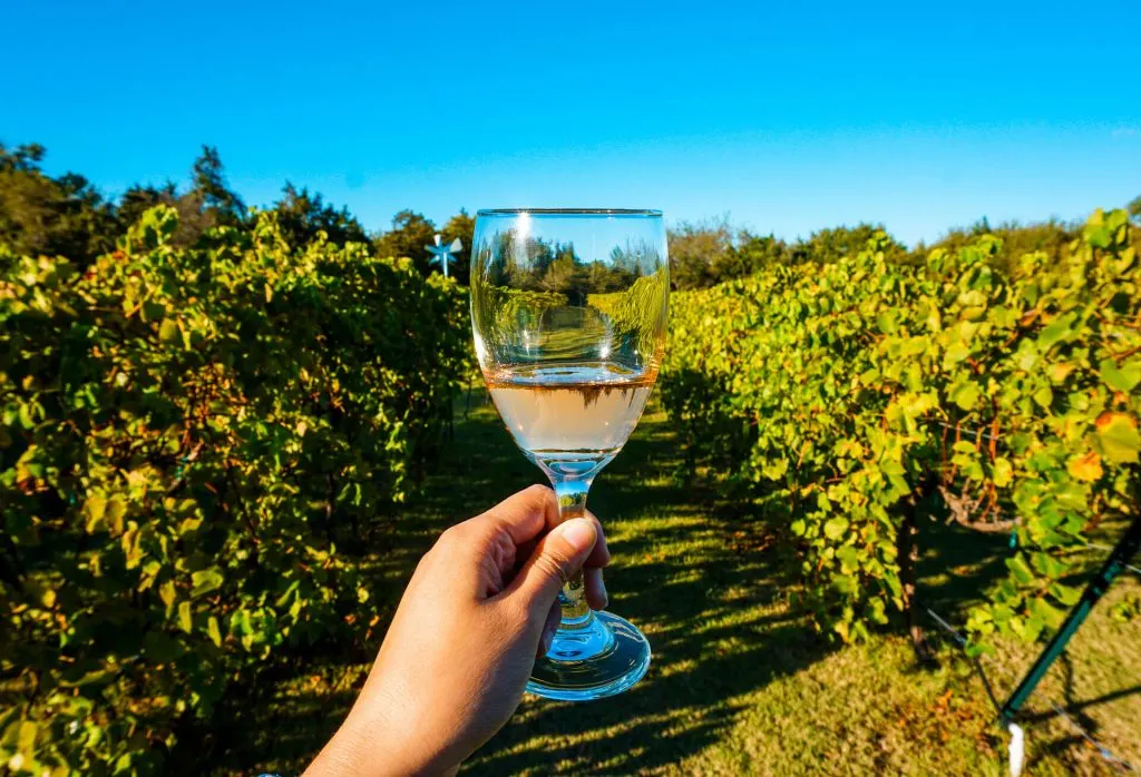 A glass of blush wine in vineyards at TF Vineyard & Winery.