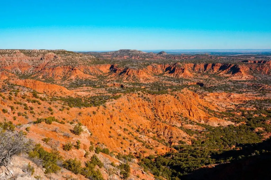 Stunning red canyons with green vegetation on the canyons floors. Hiking is one of the best things to do in Caprock Canyons State Park because you are rewarded with  gorgeous views like this one from Haynes Ridge Overlook.