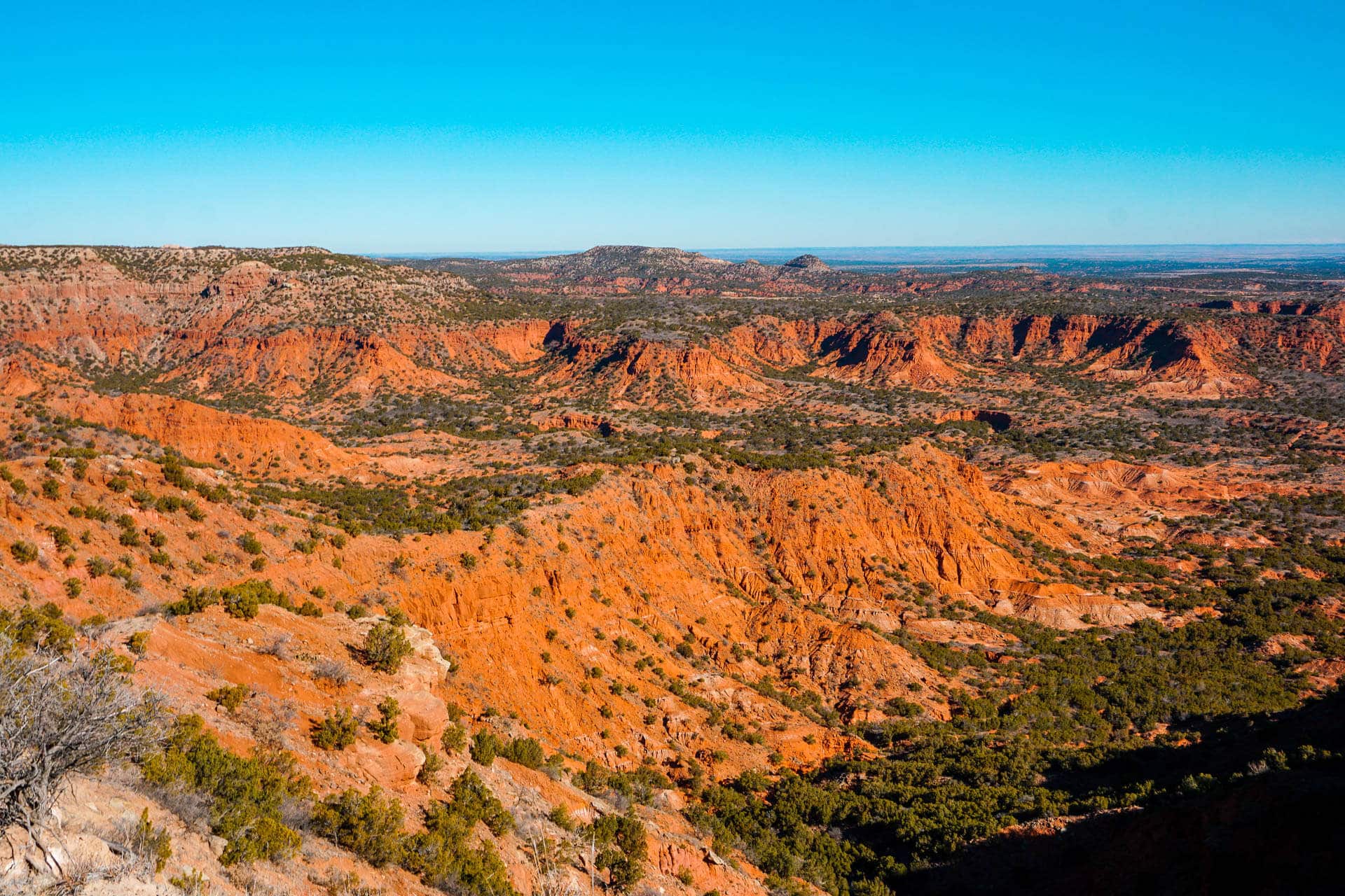 The Best Things to Do in Caprock Canyons State Park