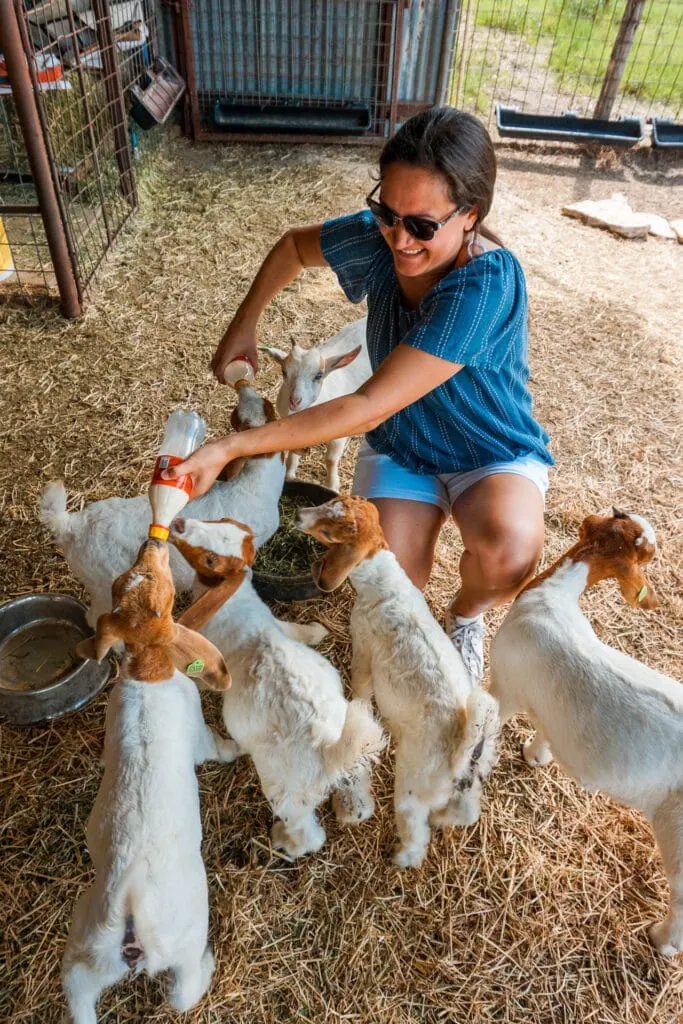 A woman bottle-feeding baby goats at GOAT Ranch - one of the most fun things to do in Glen Rose, Texas.