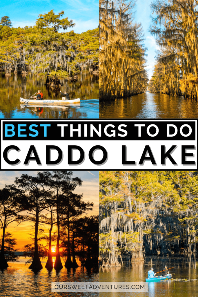 caddo lake kayak tours