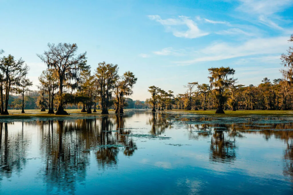 Picturesque Caddo Lake with Spanish moss and bald cypress trees.