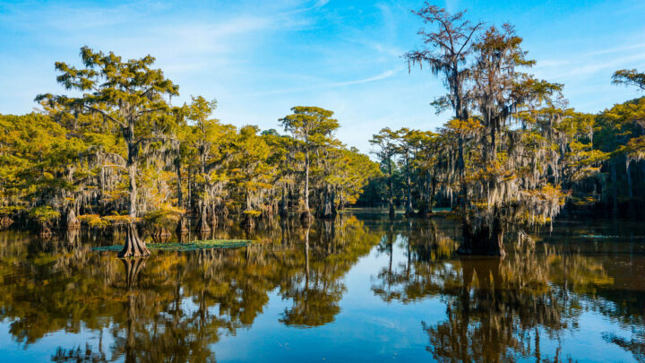 Best Things to Do at Caddo Lake – on the Texas Side