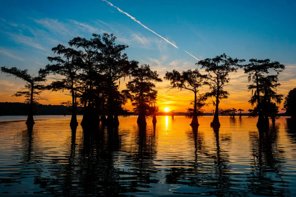 Enjoying the sunrise between bald cypress trees on Caddo Lake - a sunrise boat tour is one of the best things to do at Caddo Lake.
