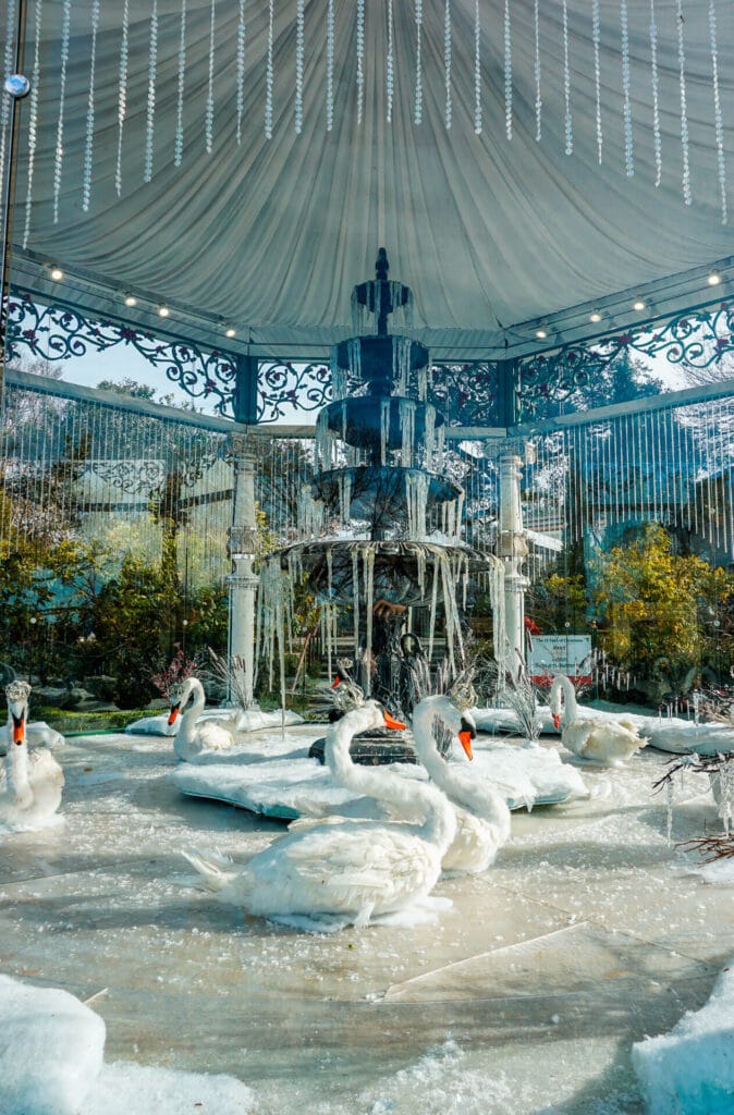 A Victorian gazebo featuring seven swans-a-swimming at the Dallas Arboretum. 