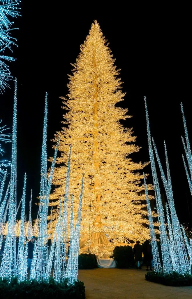 A tall white Christmas tree with light icicles surrounding it. This is at Enchant - one of the best Christmas things to do in Dallas.