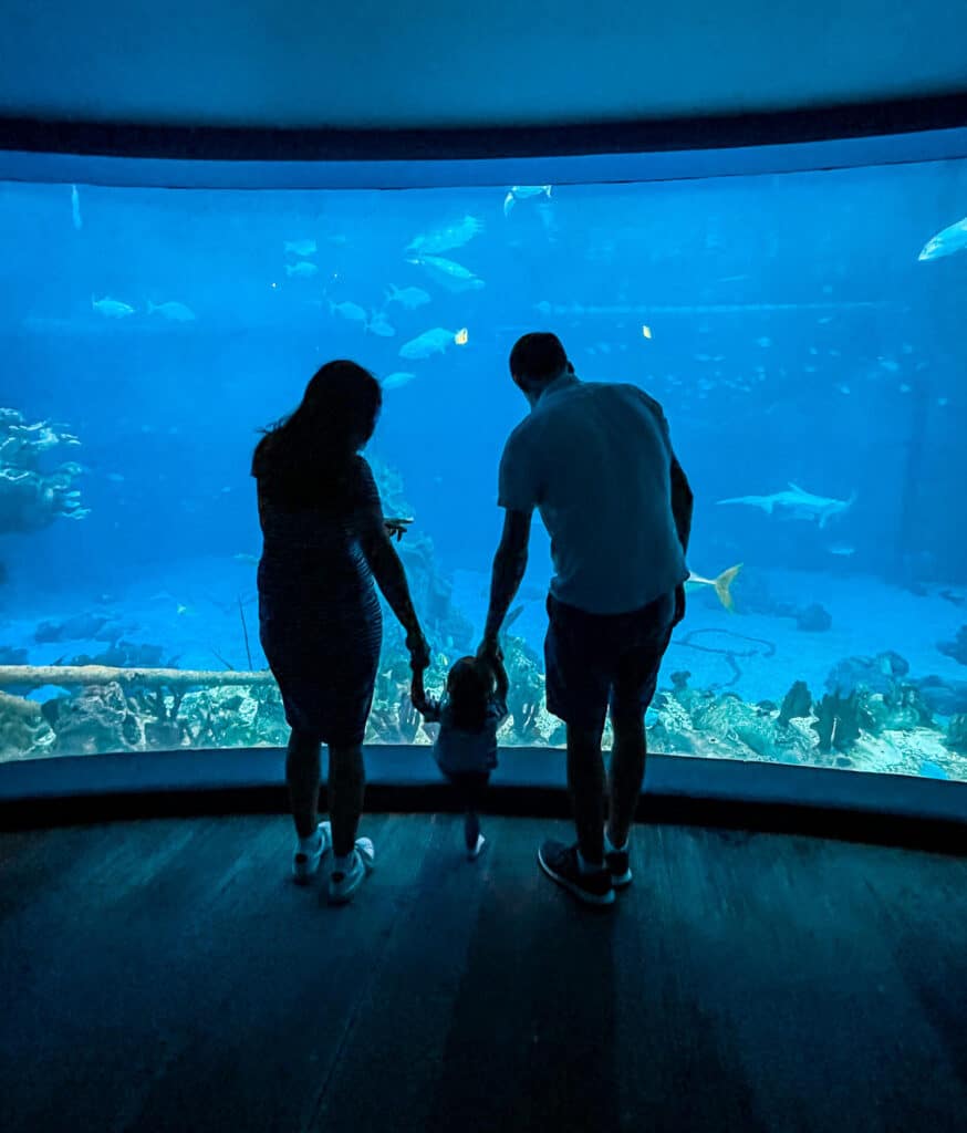 A mom and dad holding their son's hand in front of the Epcot aquarium. 