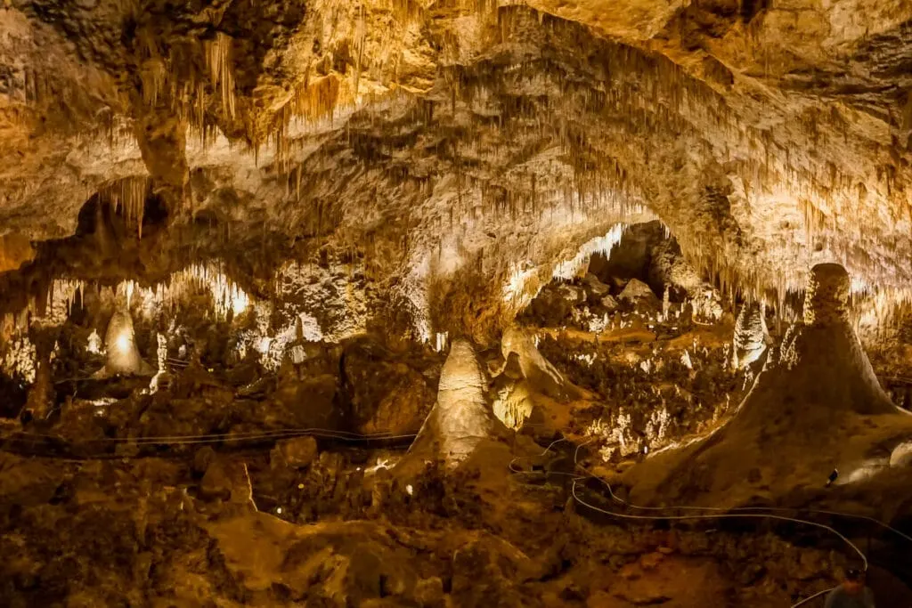 Thousands of stalactites and stalagmites inside the Big Room at Carlsbad Caverns National Park.
