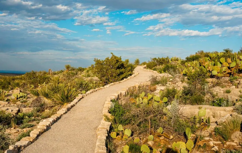 A pathway on the Chihuahuan Desert Trail at Carlsbad Caverns National Park.