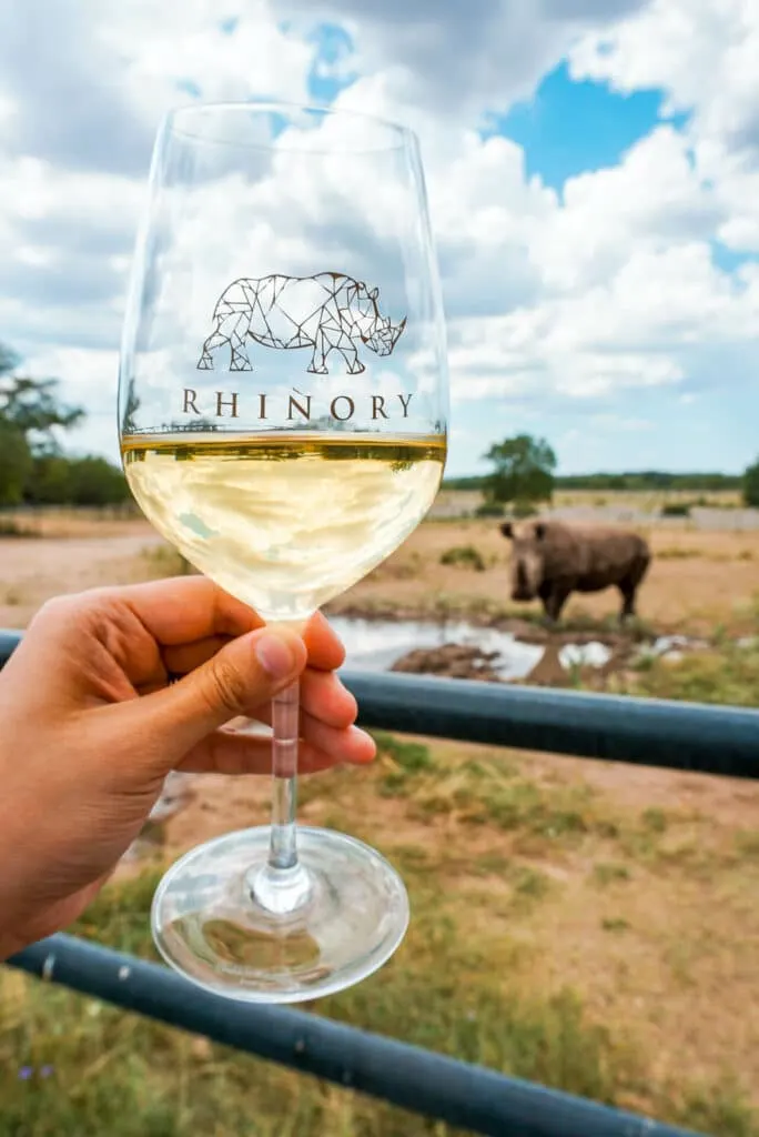 A wine glass with white wine and a rhino in the background. This photo is taken at The Rhinory - one of the best things to do in Fredericksburg.