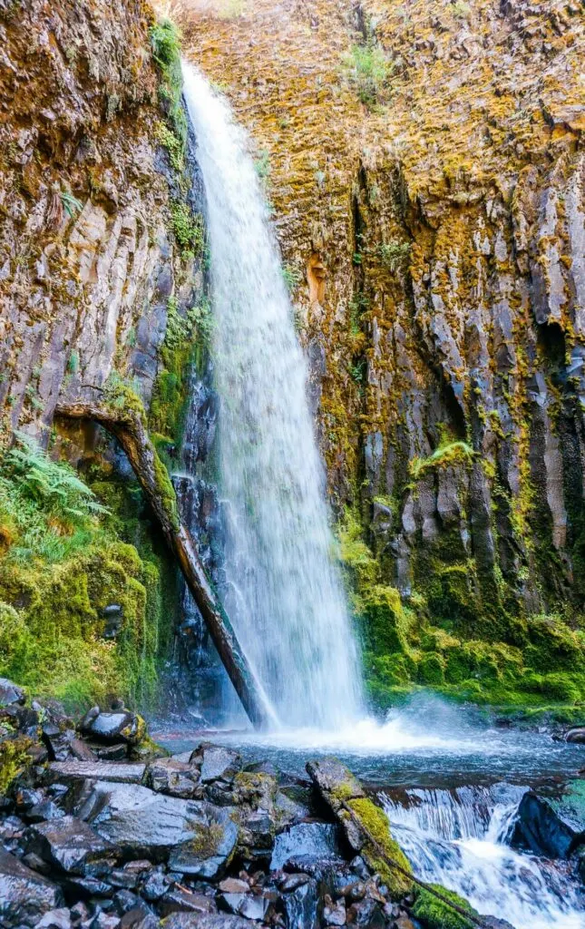 Dry Creek Falls, a horsetail waterfall in Columbia River Gorge