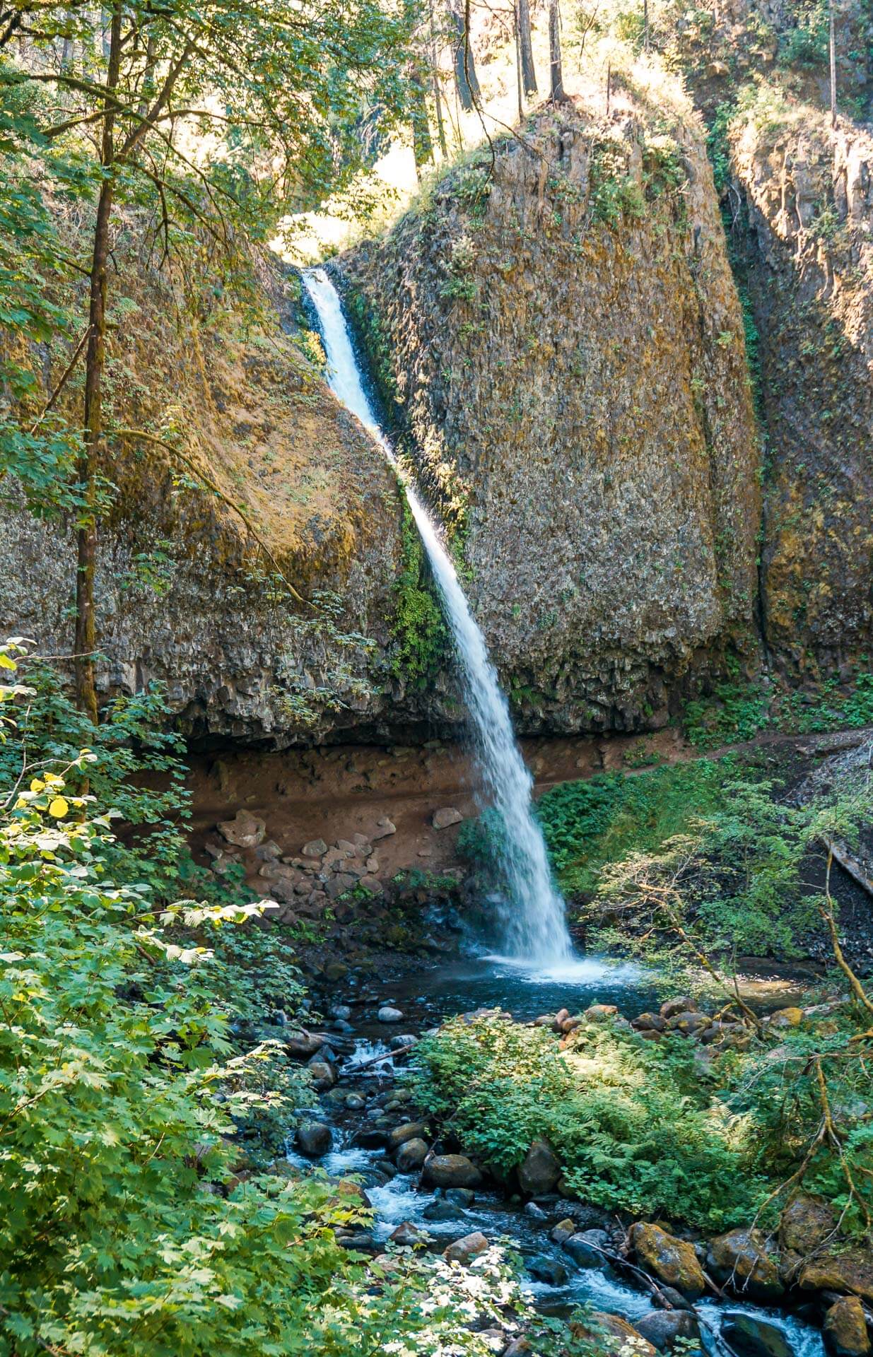 Ponytail Falls, a plunging waterfall in Columbia River Gorge