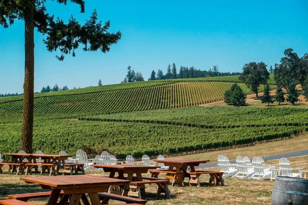A view of vineyards in the Willamette Valley at Stoller Estate.