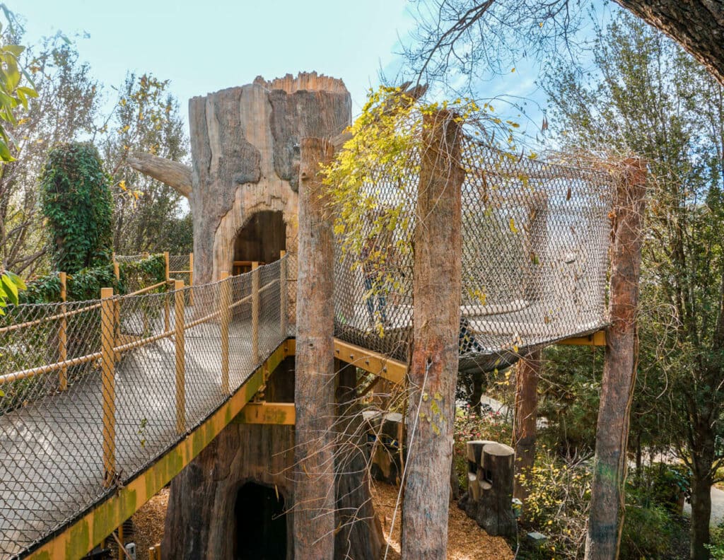 A treehouse canopy at the Dallas Arboretum and Botanical Garden Children's Garden.