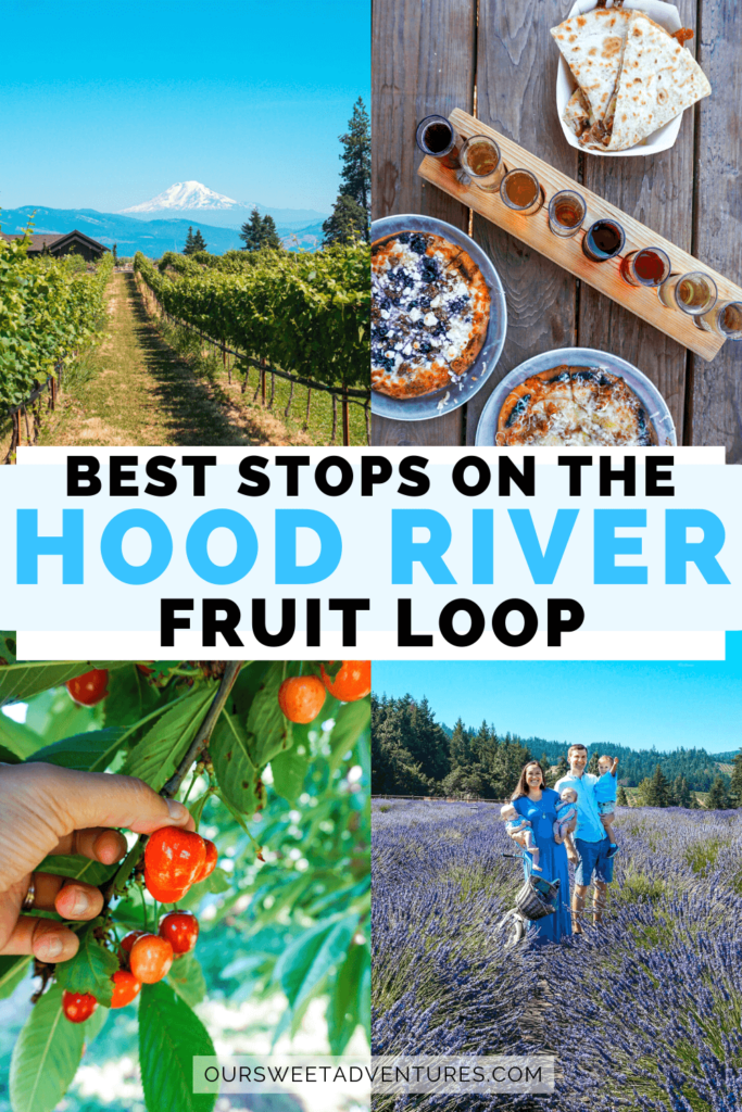 OXO Greensaver Produce Keeper, & hood river farm tour recap