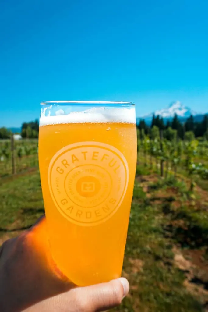 A cold glass of light beer from The Grateful Vineyard with Mt. Hood in the background. The Grateful Vineyard is one of the best stops on the Hood River Fruit Loop.