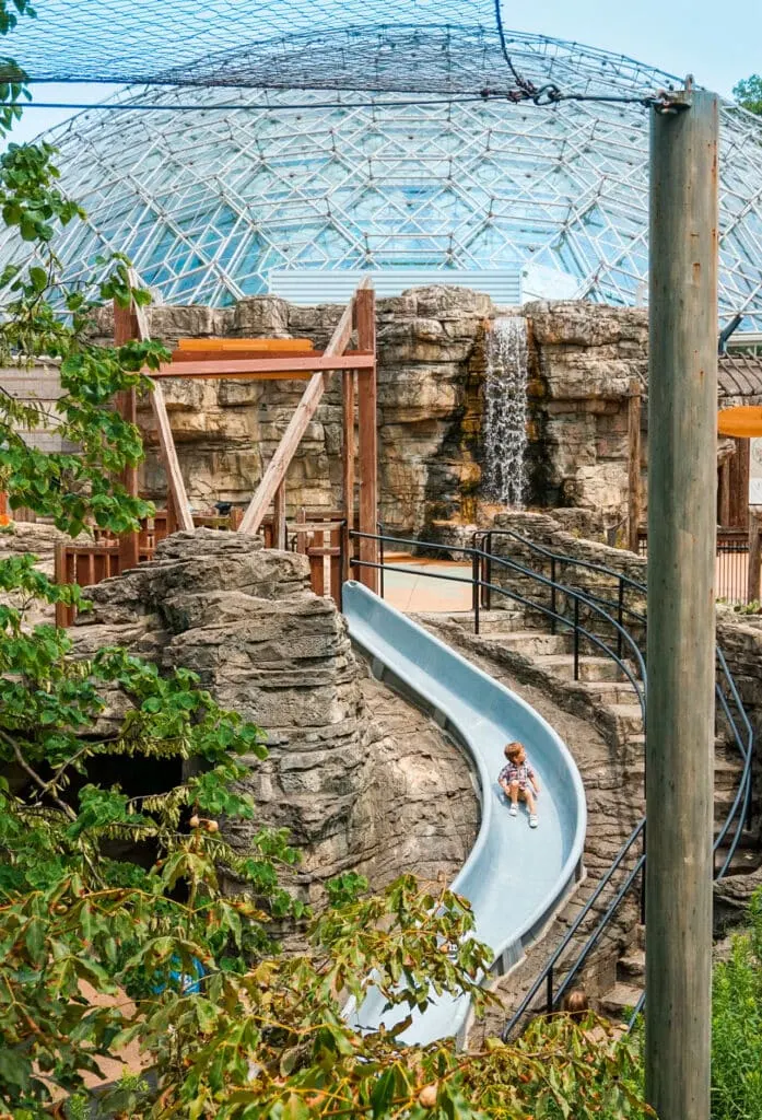 Little boy going down a slide with a dome conservatory behind him. Missouri Botanical Garden children's garden.