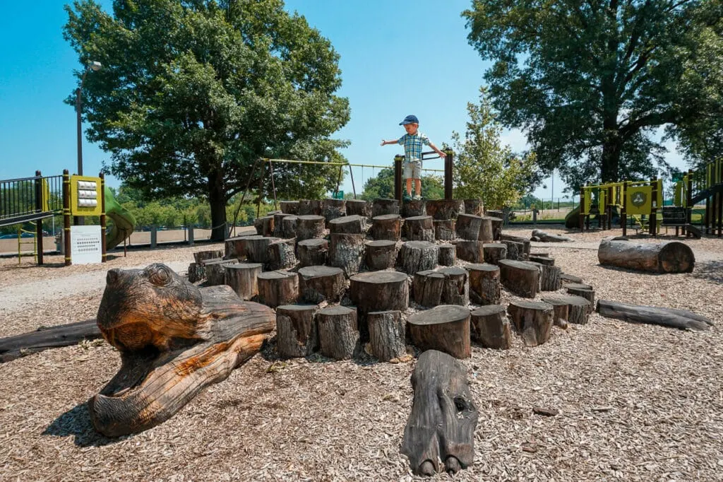 A boy standing on a turtle made from tree stumps at Oakland Avenue Playground in Forest Park (St. Louis).
