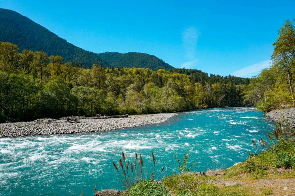 Elwha Valley in Olympic National Park, the river is a beautiful aqua blue flowing alongside the Olympic Mountain valley.
