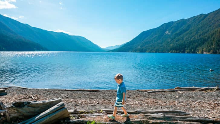 Best Kid-Friendly Hikes in Olympic National Park